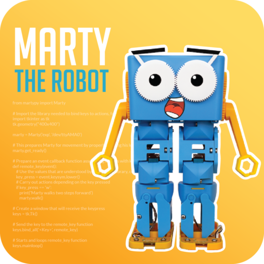 Advanced Robotics with Marty the Robot