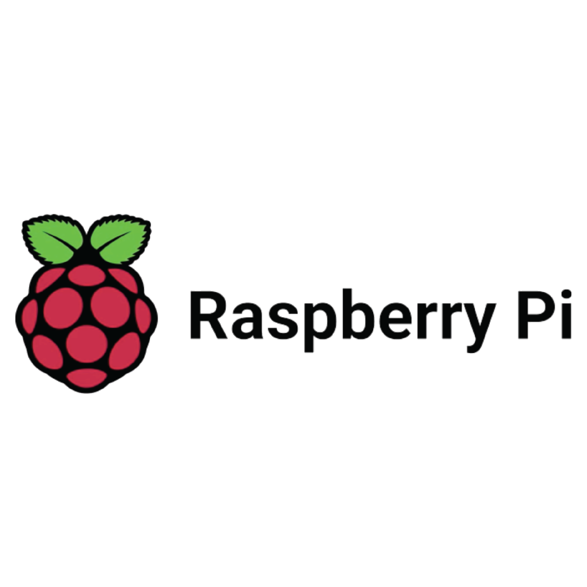 Marty and Raspberry Pi